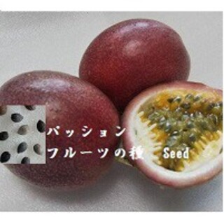 RD5.43 パッションフルーツの種30粒 果物たね トケイソウ種子 熱帯果樹(フルーツ)