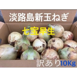 ★訳あり10Kg★淡路島新玉ねぎ　たまねぎ　玉葱(野菜)