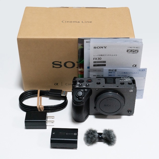 Sony FX30