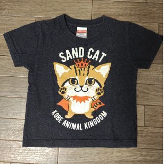 100 どうぶつ王国 ANIMAL KINGDOM Tシャツ 砂猫(Tシャツ/カットソー)