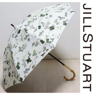 ジルスチュアート(JILLSTUART)の新品【ジルスチュアート】晴雨兼用長傘 幸運！四つ葉のクローバー箔文字 日傘 雨傘(傘)