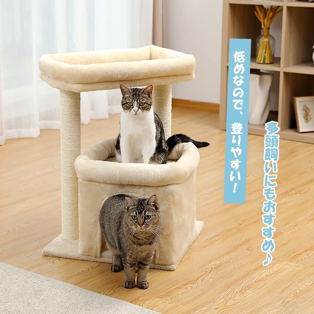 【在庫処分】PETEPELA(ぺテぺラ) キャットタワー 低め 大型猫 ペット 6