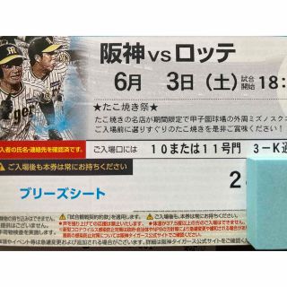 ハンシンタイガース(阪神タイガース)の6/3(土)阪神-ロッテ　ブリーズシート通路横ペア(野球)