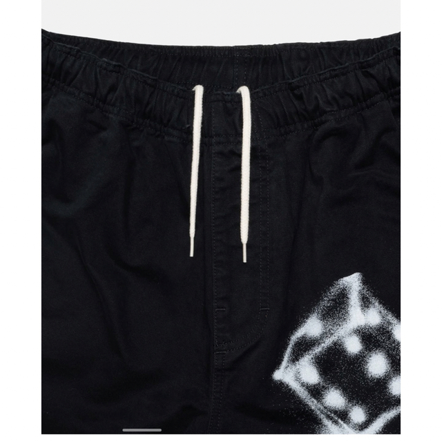 AIRBRUSH ICON BEACH PANT stussy パンツ businessbook.gr