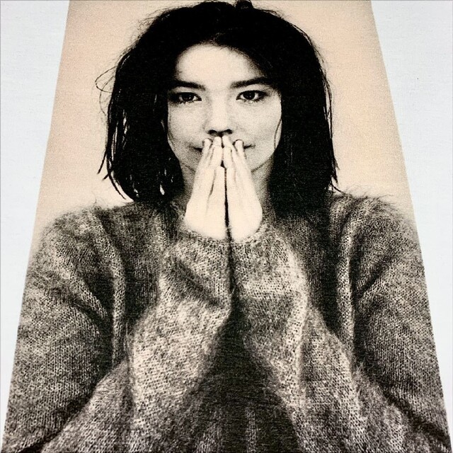 新品 Bjork ビョーク アルバム ジャケット アイスランド 歌姫 ロンT の