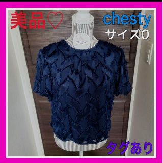 チェスティ(Chesty)の美品♡チェスティ 0 シフォン ネイビー 紺 半袖  トップス(Tシャツ(半袖/袖なし))