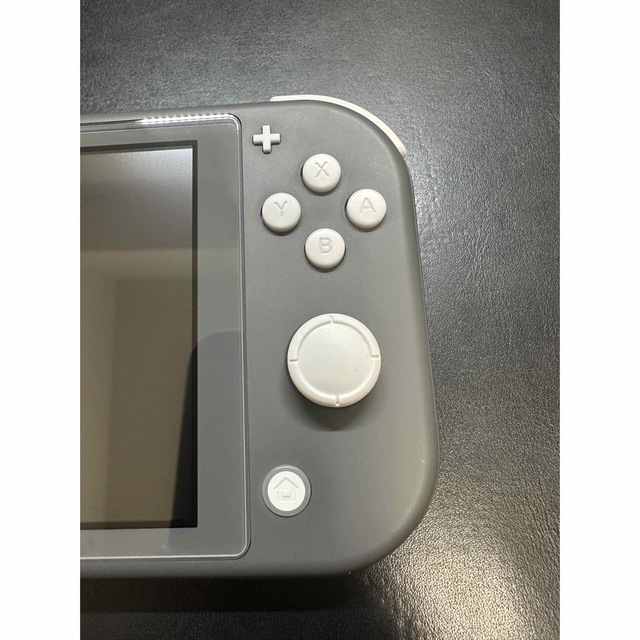 Nintendo Switch lite グレー 3