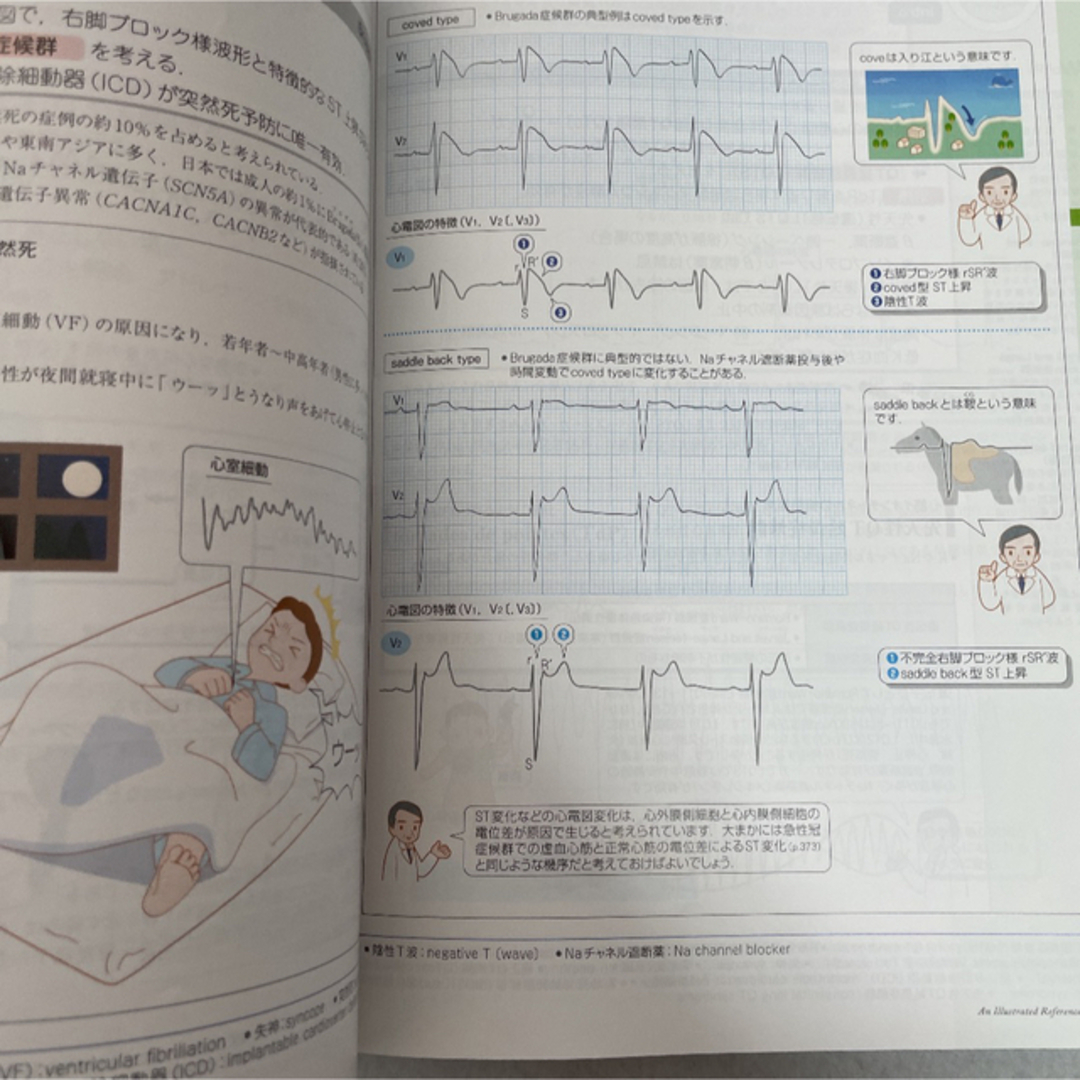 病気がみえる　見える　循環器　改訂4版 エンタメ/ホビーの本(健康/医学)の商品写真