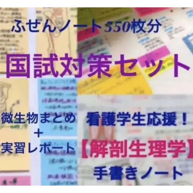 【看護学生苦手分野セット】解剖生理 国試対策 微生物 レポート データ入りUSB エンタメ/ホビーの本(語学/参考書)の商品写真