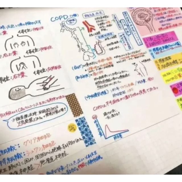 【看護学生苦手分野セット】解剖生理 国試対策 微生物 レポート データ入りUSB エンタメ/ホビーの本(語学/参考書)の商品写真