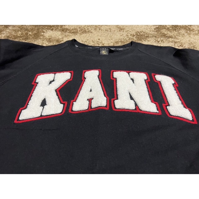 Karl Kani(カールカナイ)のカールカナイ 刺繍 袖プリ プリント ロング tシャツ ロンtee スケーター メンズのトップス(Tシャツ/カットソー(七分/長袖))の商品写真