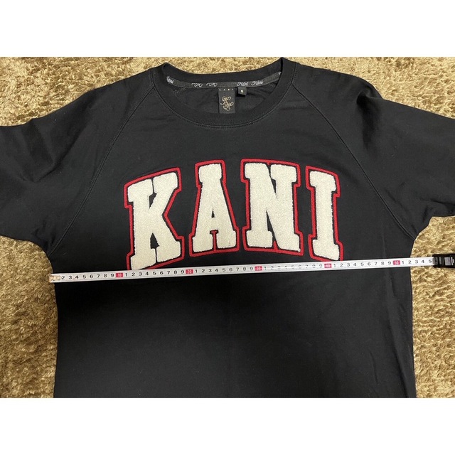 Karl Kani(カールカナイ)のカールカナイ 刺繍 袖プリ プリント ロング tシャツ ロンtee スケーター メンズのトップス(Tシャツ/カットソー(七分/長袖))の商品写真