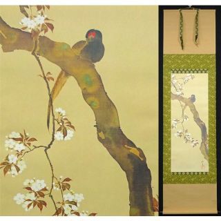 【複製画】掛軸 酒井抱一『桜花雉子図』限定1500部 絹本 共箱付 a07238(絵画/タペストリー)