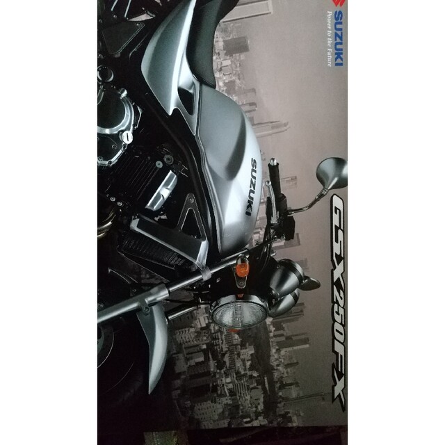スズキ(スズキ)のGsx250F   型録 自動車/バイクのバイク(カタログ/マニュアル)の商品写真