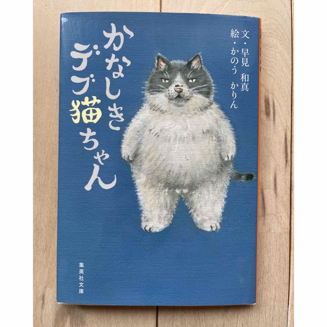 かなしきデブ猫ちゃん エンタメ/ホビーの本(文学/小説)の商品写真