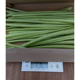 ふき☆茎　ポスト投函箱込み1kg以上(野菜)