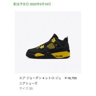 ジョーダン(Jordan Brand（NIKE）)のNike GS Air Jordan 4 Retro "Thunder"(スニーカー)