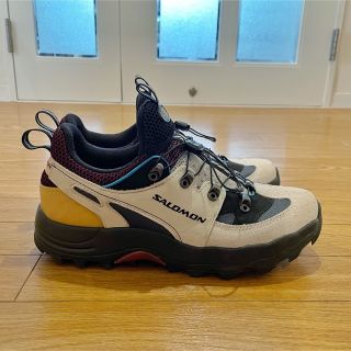 サロモン(SALOMON)のサロモン アドバンス RAID WIND ADVANCED(スニーカー)