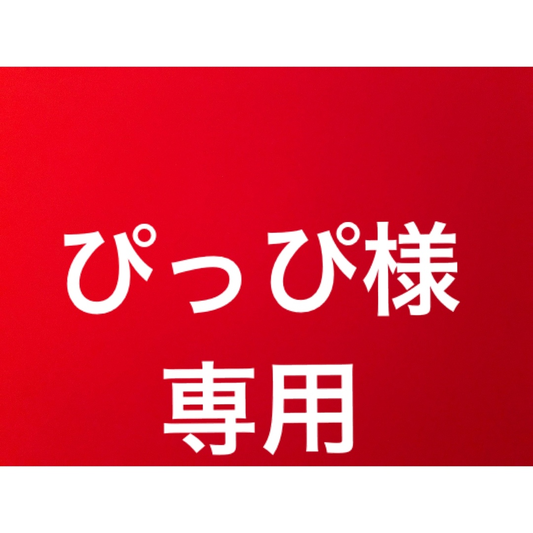 【ぴっぴ様専用】キーホルダー　クラップ　ゲームパンフ エンタメ/ホビーのタレントグッズ(スポーツ選手)の商品写真