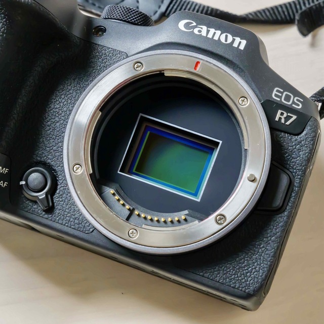 Canon(キヤノン)のCanon キヤノン EOS R7 ボディ ミラーレス一眼 APS-C 高速連写 スマホ/家電/カメラのカメラ(ミラーレス一眼)の商品写真