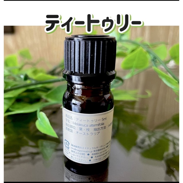 ティートゥリー 5ml アロマオイル 天然 殺菌 ティーツリー 花粉症 消臭 コスメ/美容のリラクゼーション(エッセンシャルオイル（精油）)の商品写真