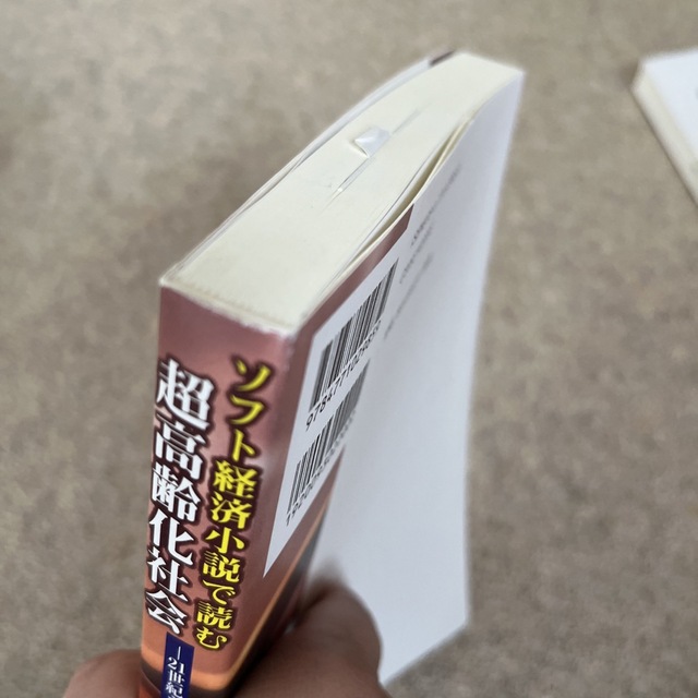 ソフト経済小説で読む超高齢化社会 ２１世紀ネバーランド政策 エンタメ/ホビーの本(ビジネス/経済)の商品写真