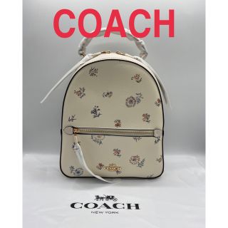 美品！COACH コーチ シグネイチャー 総柄 ミニリュックサック PVC