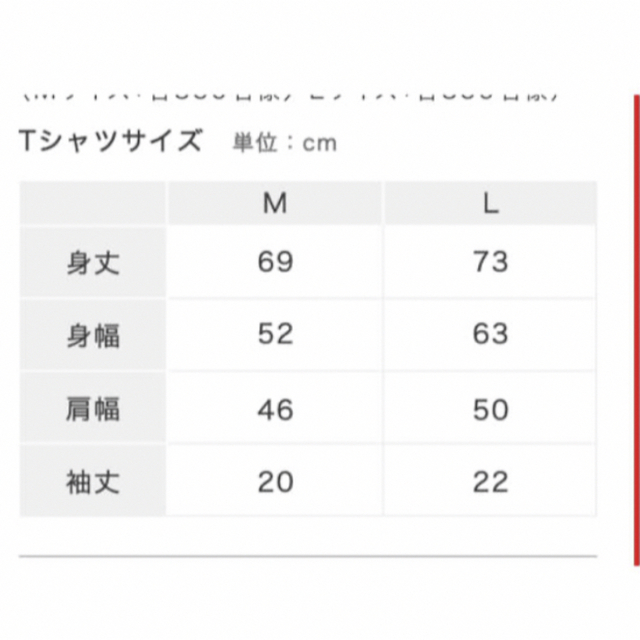 Kis-My-Ft2(キスマイフットツー)のサッポロ一番 Tシャツ Mサイズ ひとてま荘 kis-My- Ft2 エンタメ/ホビーのタレントグッズ(アイドルグッズ)の商品写真