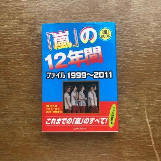 アラシ(嵐)の「嵐」の１２年間 ファイル１９９９～２０１１(アート/エンタメ)