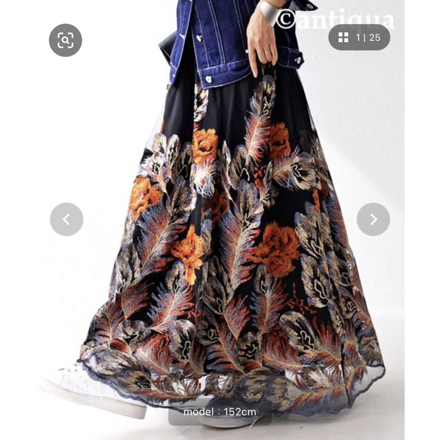 antiqua(アンティカ)の新品未使用　アンティカ　刺繍　スカート　チュールスカート レディースのスカート(ロングスカート)の商品写真
