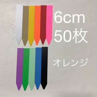 園芸　ラベル　6㎝　オレンジ　橙　　50枚(その他)