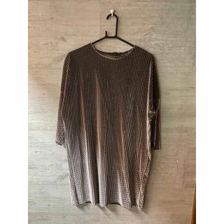 ザラ(ZARA)のZARA カットソー トップス 光沢　ブラウンシルバー(カットソー(長袖/七分))