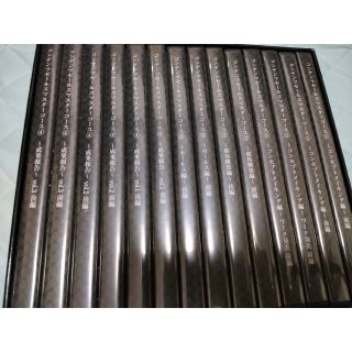 小玉歩コンテンツセールスマスターコースDVD全14枚(その他)