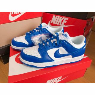 ナイキ(NIKE)のNIKE Dunk Low SP Varsity Royal/Kentucky(スニーカー)