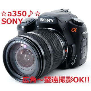 美品♪☆手ぶれ補正♪カメラ初心者さん安心!!☆ SONY a350 #5217
