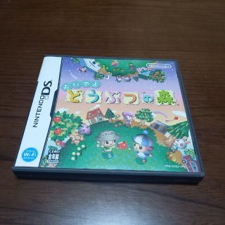 ニンテンドーDS(ニンテンドーDS)のおいでよ どうぶつの森 DS(その他)