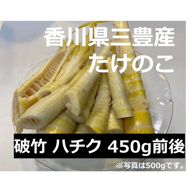 限定販売！香川県三豊産　たけのこ水煮　450g 食品/飲料/酒の食品(野菜)の商品写真
