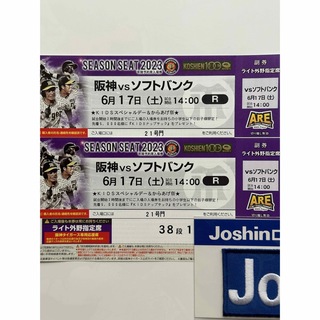 阪神vsソフトバンク6/17ライト年間席通路側(野球)