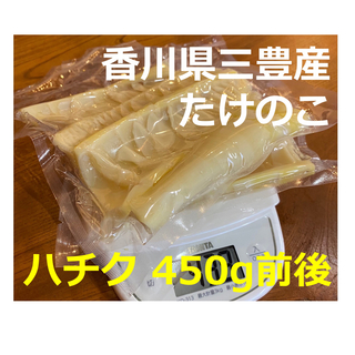 限定販売！香川県三豊産たけのこ　450g(野菜)