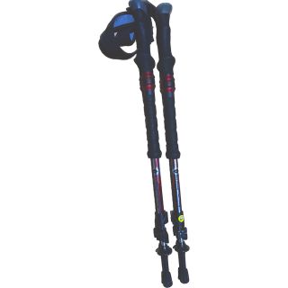 ブラックダイヤモンド(Black Diamond)のトレッキングポール TRAIL SHOCK プリント傷あり 劣化なし(登山用品)