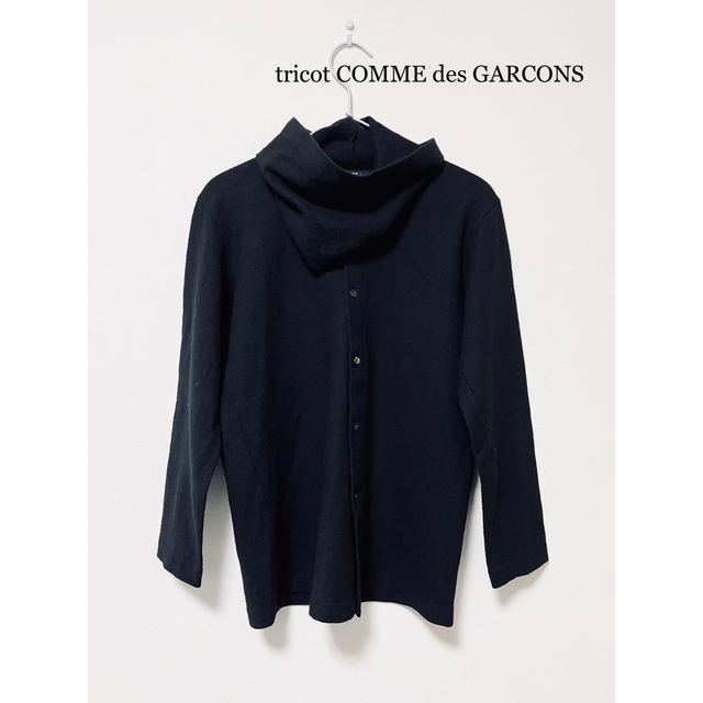 COMME des GARCONS(コムデギャルソン)のtricot COMME des GARCONS 薄手 ウールカットソー レディースのトップス(カットソー(長袖/七分))の商品写真