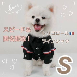 犬服 トリコロールラインシャツ【Sサイズ】【ブラック】 犬の服 ドッグウェア(犬)