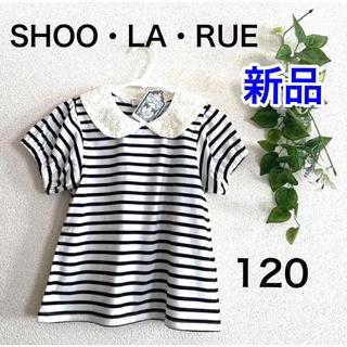 シューラルー(SHOO・LA・RUE)の【新品タグ付き】女児 半袖 Tシャツ ボーダー   襟付き バックボタン 120(Tシャツ/カットソー)