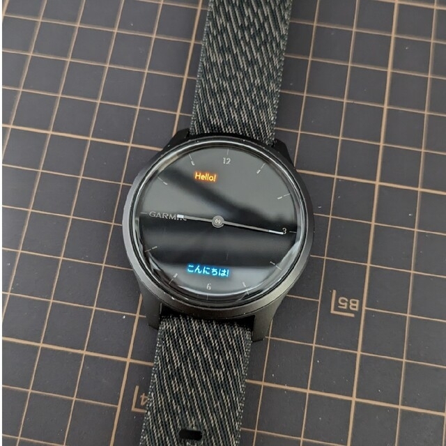 GARMIN vivomove style