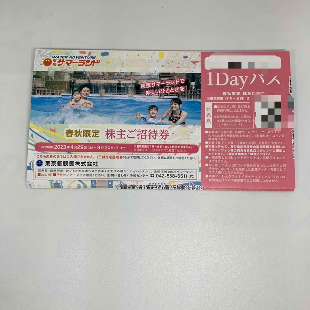 【最新】東京競馬場　東京サマーランド　1Dayパス8枚【匿名・送料無料】 チケットの施設利用券(遊園地/テーマパーク)の商品写真