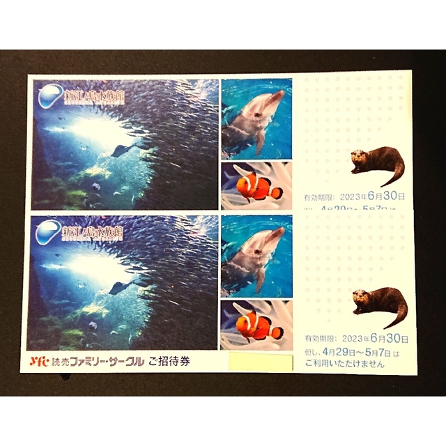 売り出し 新江ノ島水族館 入場招待券 3枚 大人 小人共通 3名様 9月30日迄