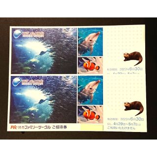 ★新江ノ島水族館 ご招待券2枚  2023年 6月30日(金)まで★(水族館)