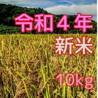 令和４年産新米 低農薬玄米１０キロ 山田錦の里より農家直送　(精米サービス中)(米/穀物)