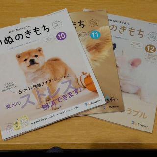 いぬのきもち(専門誌)