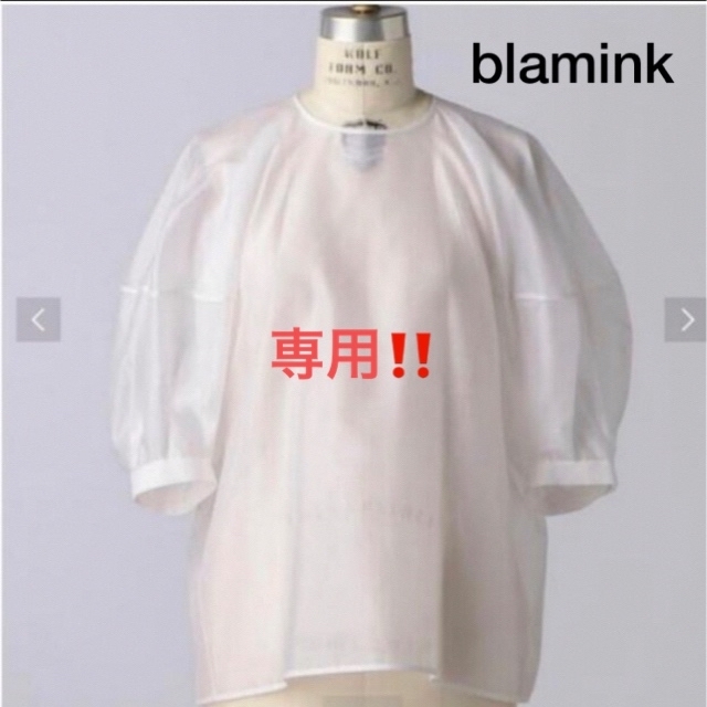 BLAMINK(ブラミンク)のS♡様専用　ブラミンク blamink シアーブラウス　白　36 レディースのトップス(シャツ/ブラウス(半袖/袖なし))の商品写真